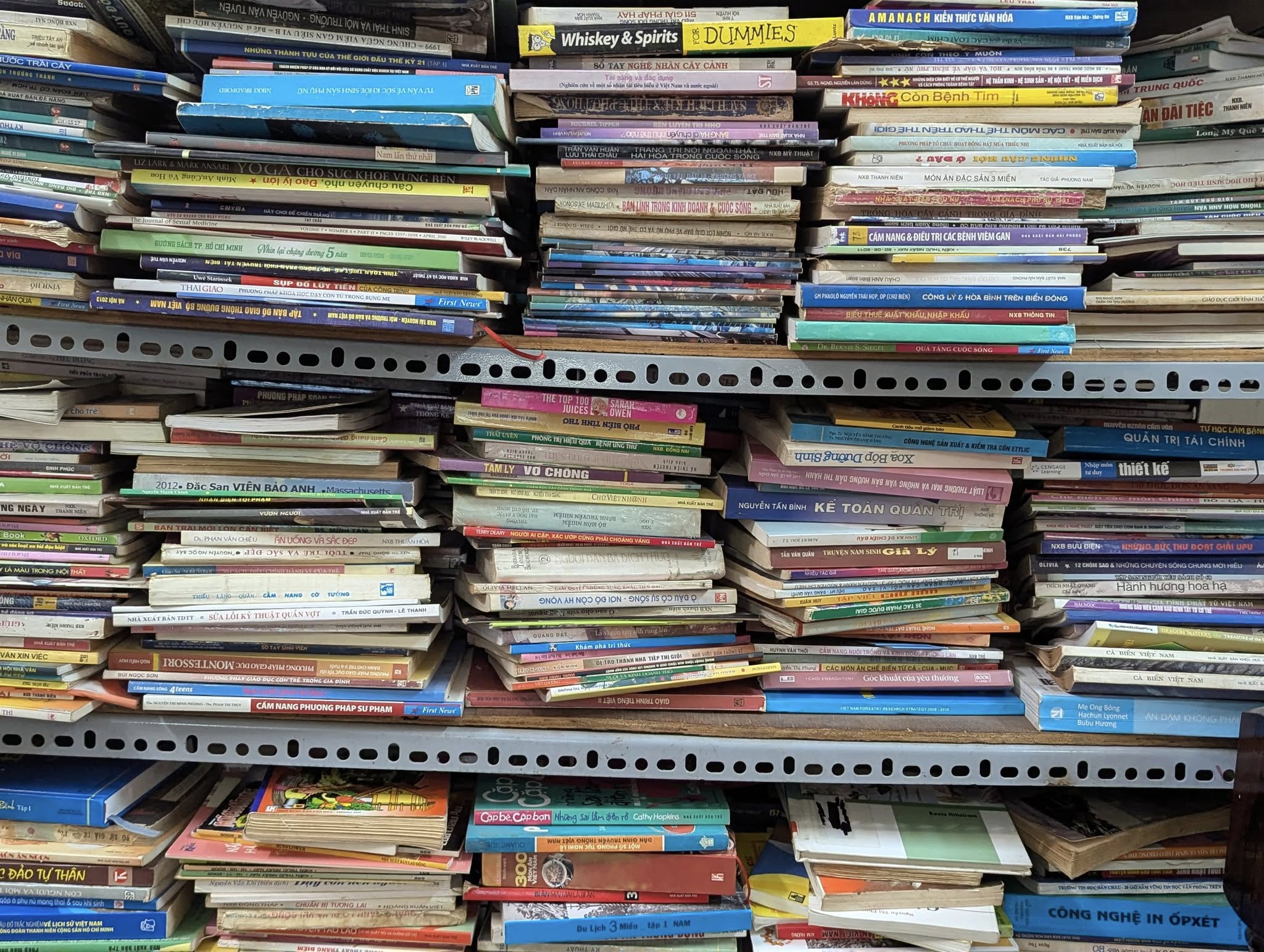 503283276 1161255105804861 7470454745686897597 n