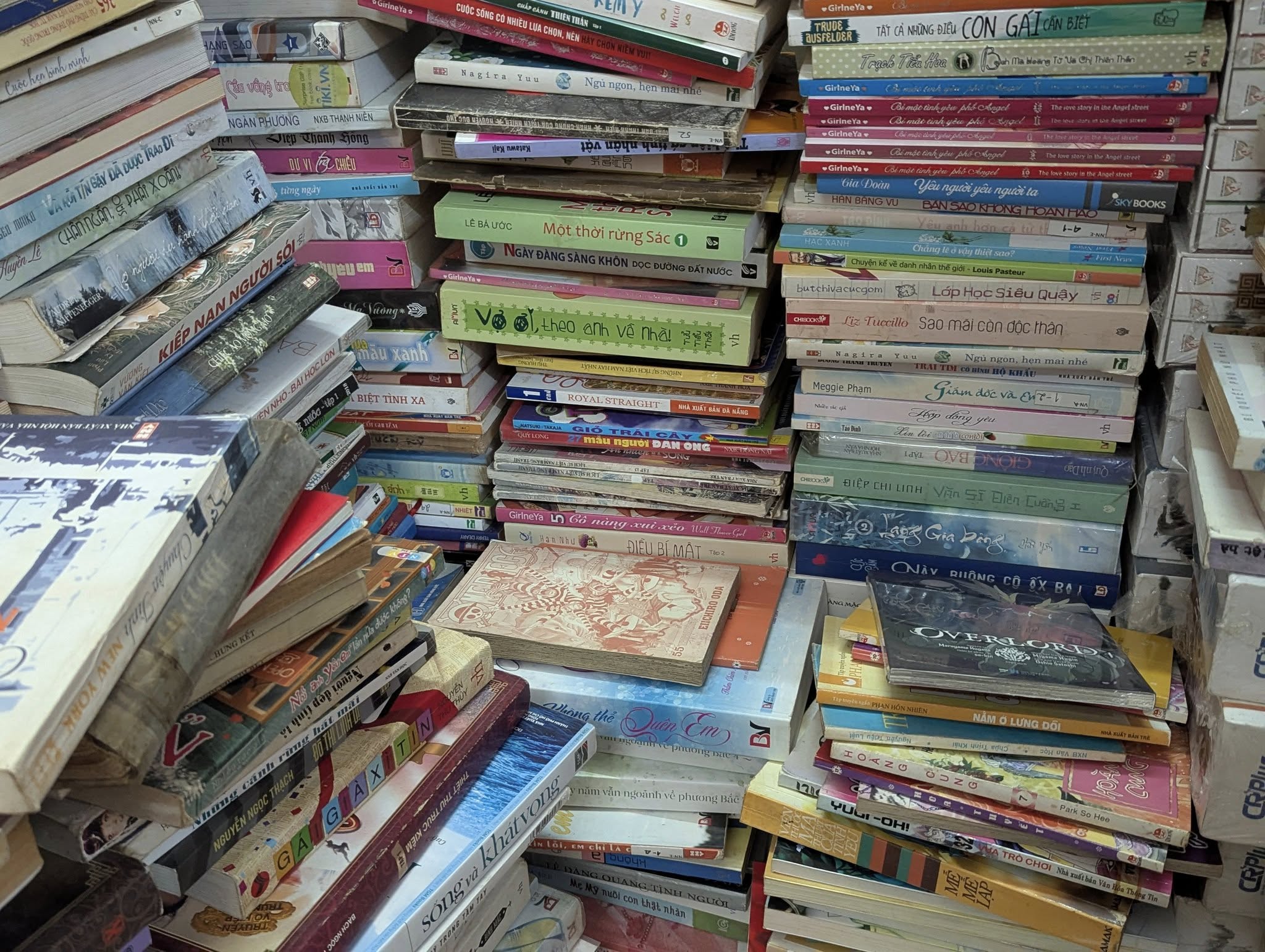 503604521 1161254939138211 7385502982010519353 n