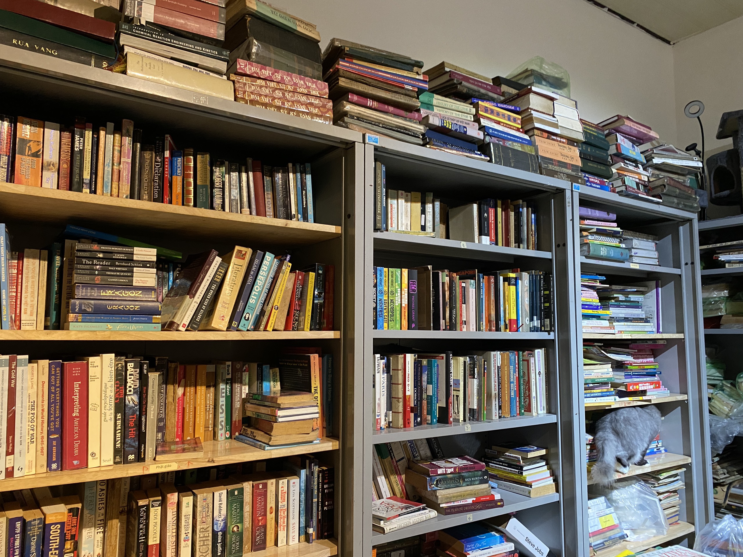 batansachcuthuvien18